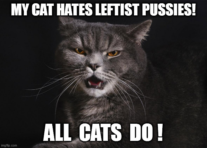 Leftist meme redone Right! | MY CAT HATES LEFTIST PUSSIES! ALL  CATS  DO ! | image tagged in leftards,cats | made w/ Imgflip meme maker