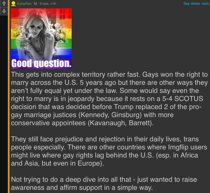 KylieFan roast LGBTQ rights Blank Meme Template
