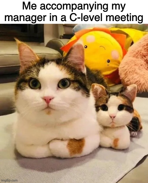 I feel empowered | Me accompanying my manager in a C-level meeting | image tagged in office,work,startup | made w/ Imgflip meme maker