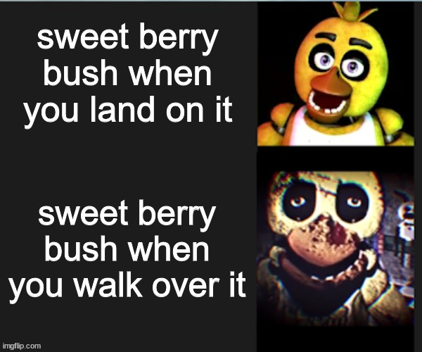 magic plant | sweet berry bush when you land on it; sweet berry bush when you walk over it | image tagged in chica normal vs scary | made w/ Imgflip meme maker