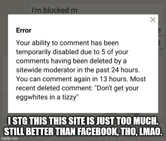 The mods are full of it | I STG THIS THIS SITE IS JUST TOO MUCH.
STILL BETTER THAN FACEBOOK, THO, LMAO. | made w/ Imgflip meme maker