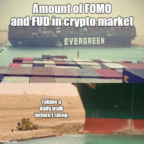 Amount of FOMO and FUD in crypto market; Taking a daily walk before I sleep | image tagged in fud,fomo | made w/ Imgflip meme maker