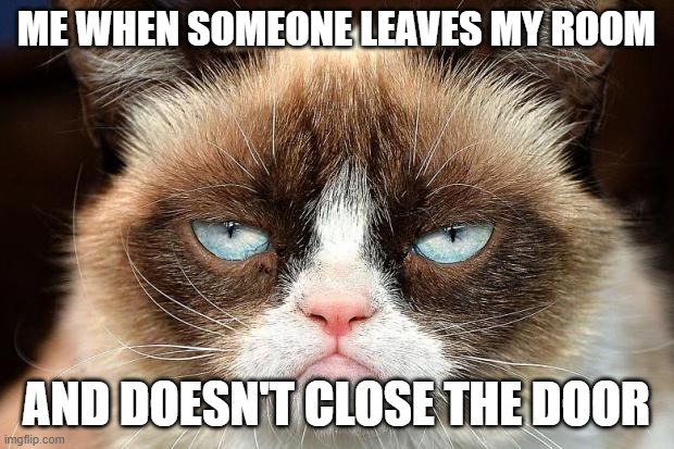 The grumpiest of them all | ME WHEN SOMEONE LEAVES MY ROOM; AND DOESN'T CLOSE THE DOOR | image tagged in memes,grumpy cat not amused,grumpy cat,funny memes,dank memes,grumpy cat birthday | made w/ Imgflip meme maker