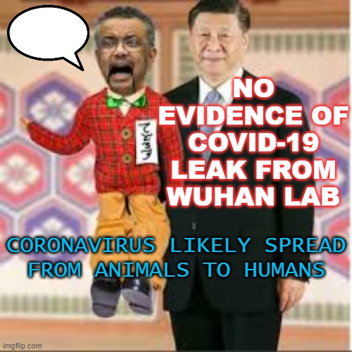 No evidence of Covid-19 leak from Wuhan lab; Coronavirus Likely Spread From Animals To Humans | NO EVIDENCE OF COVID-19 LEAK FROM WUHAN LAB; CORONAVIRUS LIKELY SPREAD
FROM ANIMALS TO HUMANS | image tagged in xi s lil bitch | made w/ Imgflip meme maker