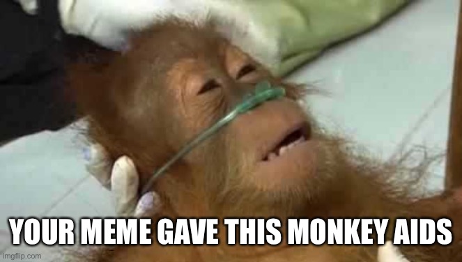 Monkey | YOUR MEME GAVE THIS MONKEY AIDS | image tagged in meme,memes,funny memes,dank memes,funny,animals | made w/ Imgflip meme maker