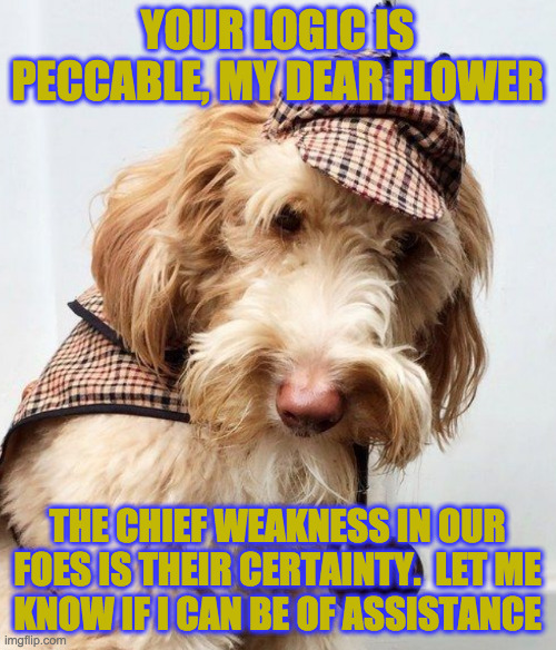 YOUR LOGIC IS PECCABLE, MY DEAR FLOWER THE CHIEF WEAKNESS IN OUR
FOES IS THEIR CERTAINTY.  LET ME
KNOW IF I CAN BE OF ASSISTANCE | made w/ Imgflip meme maker