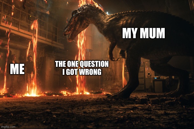 Boi | MY MUM; THE ONE QUESTION I GOT WRONG; ME | image tagged in boi | made w/ Imgflip meme maker