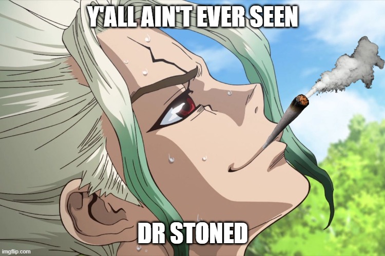 DR Stoned | Y'ALL AIN'T EVER SEEN; DR STONED | image tagged in anime meme,anime,dr stone,crunchyroll | made w/ Imgflip meme maker