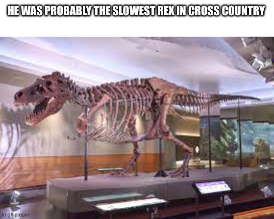 *thickness noises* | HE WAS PROBABLY THE SLOWEST REX IN CROSS COUNTRY | image tagged in oh wow are you actually reading these tags | made w/ Imgflip meme maker