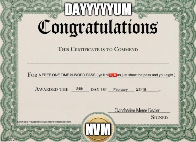 N word pass | DAYYYYYUM; NVM | image tagged in n word pass | made w/ Imgflip meme maker