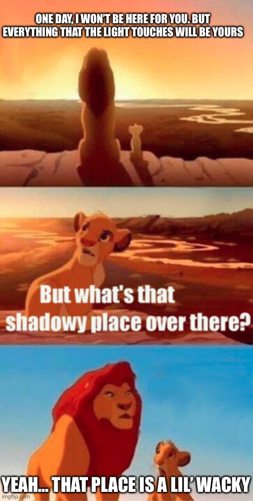 Simba... why | ONE DAY, I WON’T BE HERE FOR YOU. BUT EVERYTHING THAT THE LIGHT TOUCHES WILL BE YOURS; YEAH... THAT PLACE IS A LIL’ WACKY | image tagged in memes,simba shadowy place | made w/ Imgflip meme maker