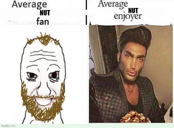 Nuts | NUT; NUT | image tagged in average blank fan vs average blank enjoyer | made w/ Imgflip meme maker