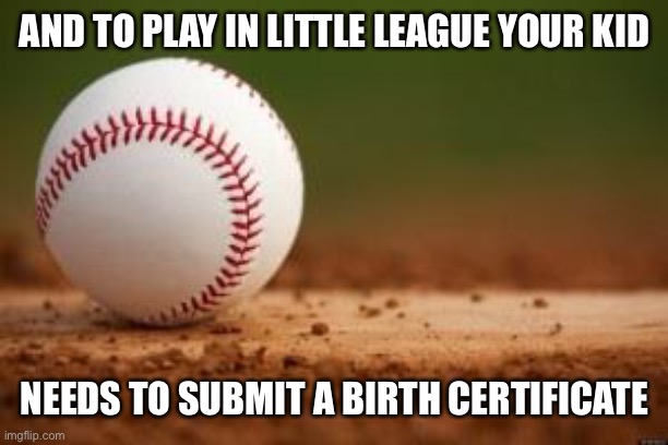 Baseball | AND TO PLAY IN LITTLE LEAGUE YOUR KID NEEDS TO SUBMIT A BIRTH CERTIFICATE | image tagged in baseball | made w/ Imgflip meme maker