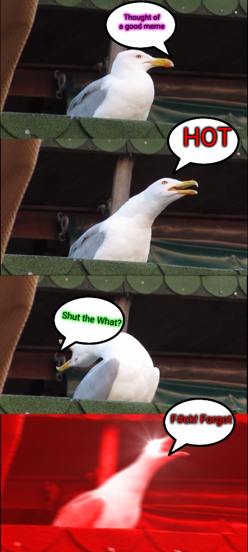 Distracted bird - seagull | Thought of a good meme; HOT; Shut the What? F#ck! Forgot | image tagged in memes,inhaling seagull,ideas,distraction | made w/ Imgflip meme maker