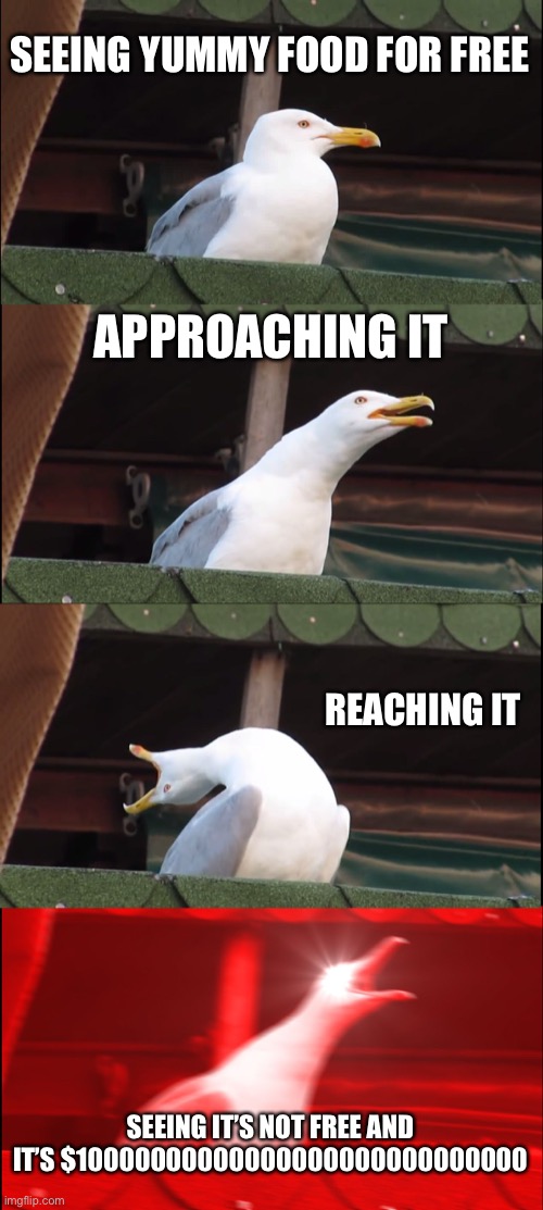 Inhaling Seagull | SEEING YUMMY FOOD FOR FREE; APPROACHING IT; REACHING IT; SEEING IT’S NOT FREE AND IT’S $10000000000000000000000000000 | image tagged in memes,inhaling seagull | made w/ Imgflip meme maker