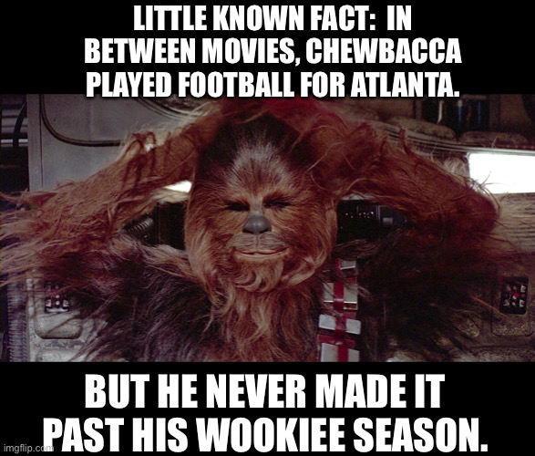 Chewbacca | LITTLE KNOWN FACT:  IN BETWEEN MOVIES, CHEWBACCA PLAYED FOOTBALL FOR ATLANTA. BUT HE NEVER MADE IT PAST HIS WOOKIEE SEASON. | image tagged in chewbaca | made w/ Imgflip meme maker