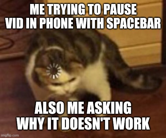 lol | ME TRYING TO PAUSE VID IN PHONE WITH SPACEBAR; ALSO ME ASKING WHY IT DOESN'T WORK | image tagged in loading cat | made w/ Imgflip meme maker