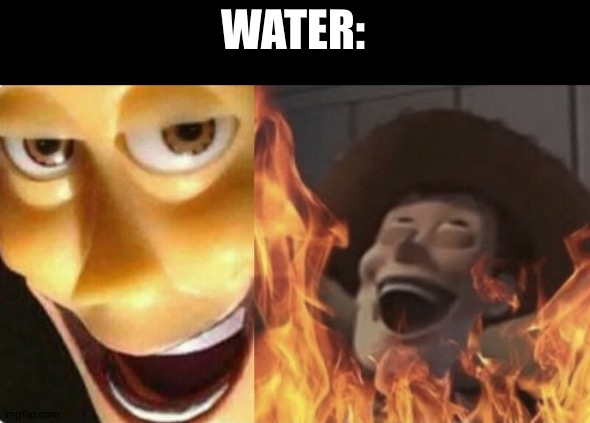 Satanic woody (no spacing) | WATER: | image tagged in satanic woody no spacing | made w/ Imgflip meme maker