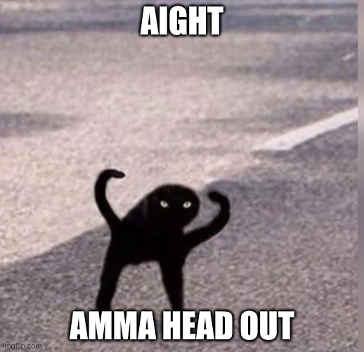 Cursed Cat | AIGHT AMMA HEAD OUT | image tagged in cursed cat | made w/ Imgflip meme maker