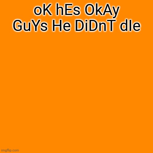 Blank Transparent Square Meme | oK hEs OkAy GuYs He DiDnT dIe | image tagged in memes,blank transparent square | made w/ Imgflip meme maker