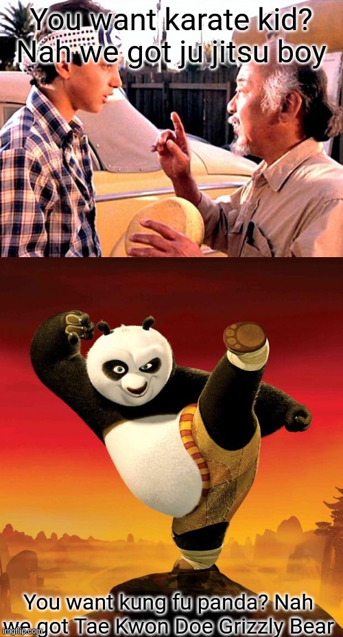 You want karate kid? Nah we got ju jitsu boy; You want kung fu panda? Nah we got Tae Kwon Doe Grizzly Bear | image tagged in karate kid,kung fu panda | made w/ Imgflip meme maker