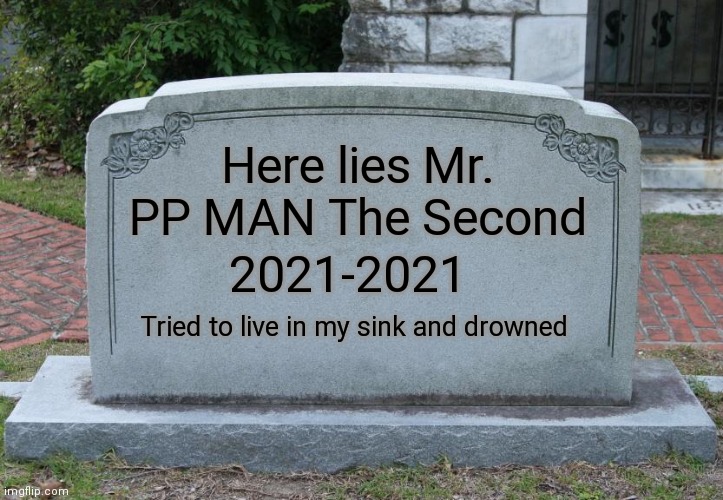 Gravestone | Here lies Mr. PP MAN The Second; 2021-2021; Tried to live in my sink and drowned | image tagged in gravestone | made w/ Imgflip meme maker