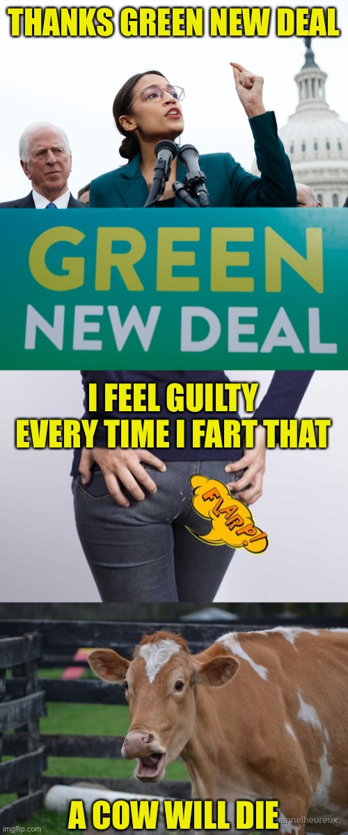 Silent But Deadly Majority | THANKS GREEN NEW DEAL; I FEEL GUILTY EVERY TIME I FART THAT; A COW WILL DIE | image tagged in aoc,green new deal,fart,cows | made w/ Imgflip meme maker