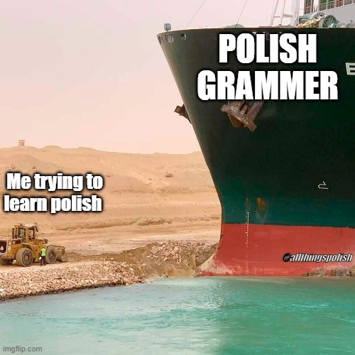 Polish grammar | POLISH GRAMMER; Me trying to learn polish; @allthingspolish | image tagged in polish,language | made w/ Imgflip meme maker