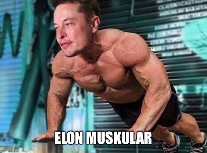 *WHEEZE | ELON MUSKULAR | image tagged in memes,elon musk,wtf,lmao | made w/ Imgflip meme maker