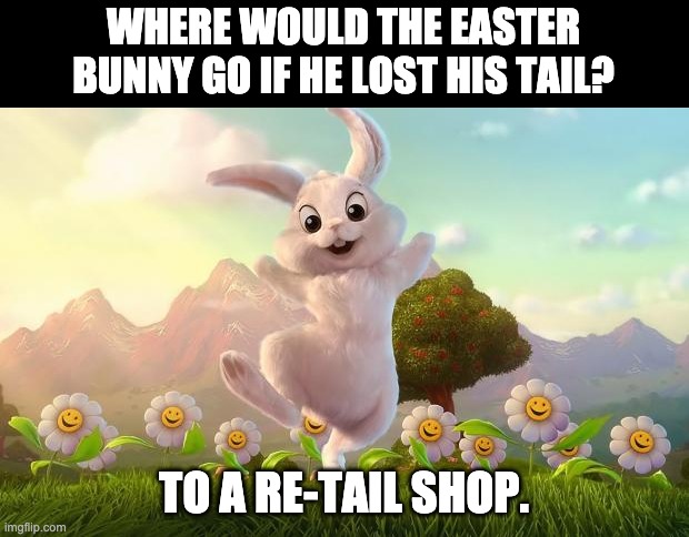Bunny | WHERE WOULD THE EASTER BUNNY GO IF HE LOST HIS TAIL? TO A RE-TAIL SHOP. | image tagged in easter-bunny defense | made w/ Imgflip meme maker