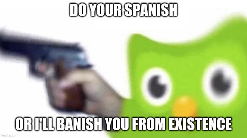 spanish or banish |  DO YOUR SPANISH; OR I'LL BANISH YOU FROM EXISTENCE | image tagged in duolingo gun | made w/ Imgflip meme maker