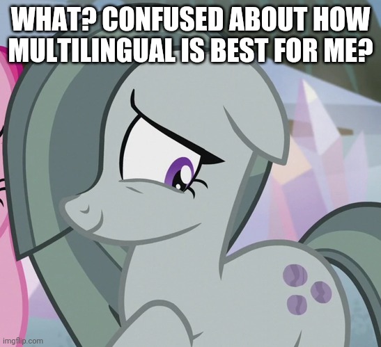 WHAT? CONFUSED ABOUT HOW MULTILINGUAL IS BEST FOR ME? | made w/ Imgflip meme maker