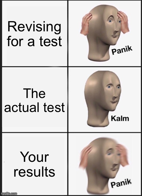 Test | Revising for a test; The actual test; Your results | image tagged in memes,panik kalm panik | made w/ Imgflip meme maker