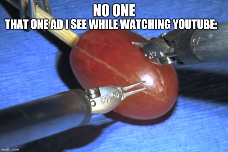 Advertisements | NO ONE; THAT ONE AD I SEE WHILE WATCHING YOUTUBE: | image tagged in they did surgery on a grape | made w/ Imgflip meme maker