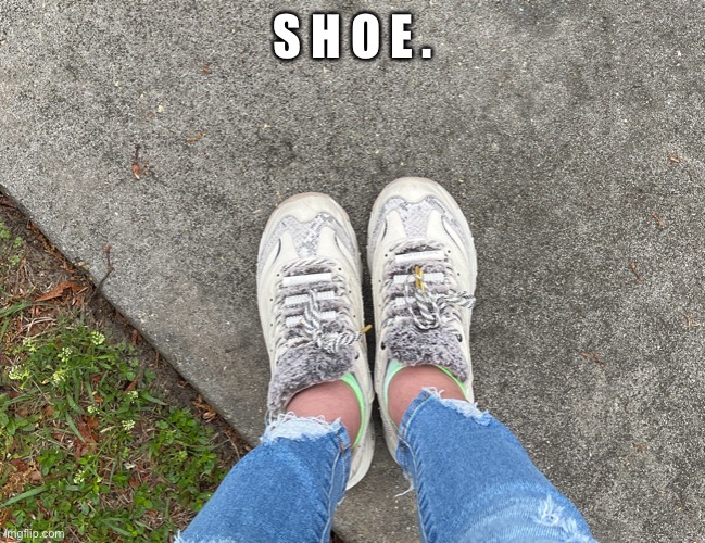 It’s raining :c | S H O E . | image tagged in shoe | made w/ Imgflip meme maker