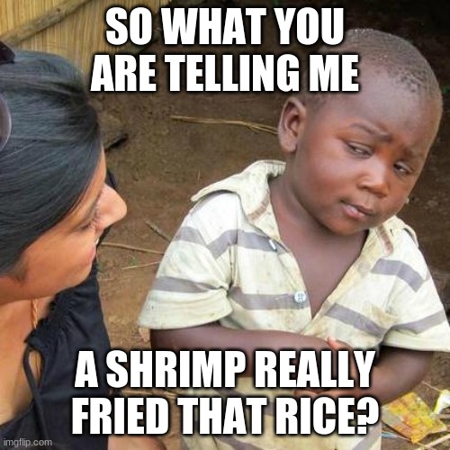 Third World Skeptical Kid | SO WHAT YOU ARE TELLING ME; A SHRIMP REALLY FRIED THAT RICE? | image tagged in memes,third world skeptical kid | made w/ Imgflip meme maker