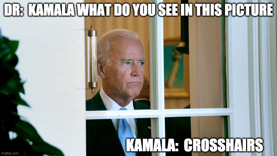 Harris and the Dr | DR:  KAMALA WHAT DO YOU SEE IN THIS PICTURE; KAMALA:  CROSSHAIRS | image tagged in joe biden | made w/ Imgflip meme maker