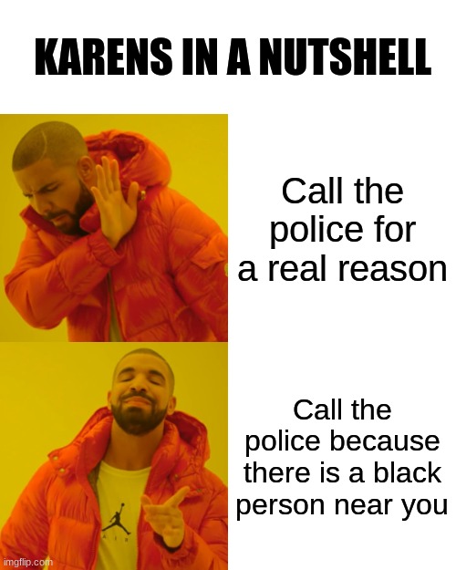 Karens in a nutshell | KARENS IN A NUTSHELL; Call the police for a real reason; Call the police because there is a black person near you | image tagged in memes,drake hotline bling,karens,blm,police,why are you reading this | made w/ Imgflip meme maker