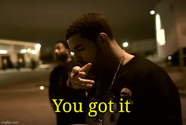 Drizzy got it | You got it | image tagged in drizzy got it | made w/ Imgflip meme maker