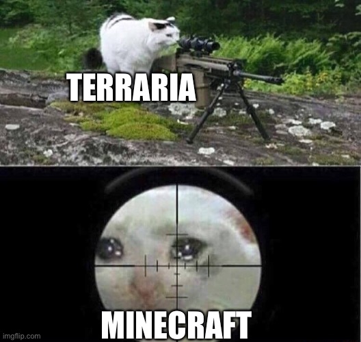 Sniper cat aim crying cat | TERRARIA MINECRAFT | image tagged in sniper cat aim crying cat | made w/ Imgflip meme maker
