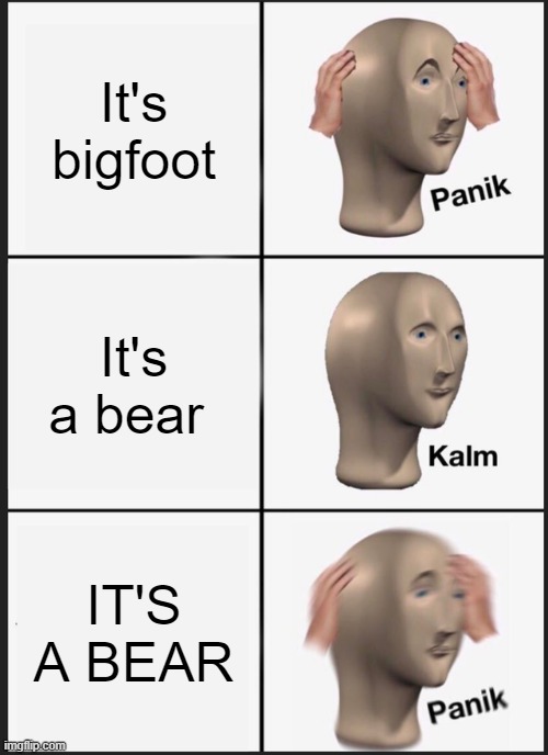 Panik Kalm Panik | It's bigfoot; It's a bear; IT'S A BEAR | image tagged in memes,panik kalm panik | made w/ Imgflip meme maker