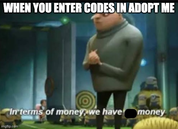 in terms of money we have money | WHEN YOU ENTER CODES IN ADOPT ME | image tagged in in terms of money | made w/ Imgflip meme maker