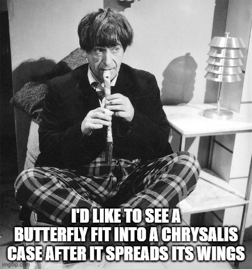 Doctor Who Spread Your Wings | I'D LIKE TO SEE A BUTTERFLY FIT INTO A CHRYSALIS CASE AFTER IT SPREADS ITS WINGS | image tagged in troughtondoctor | made w/ Imgflip meme maker
