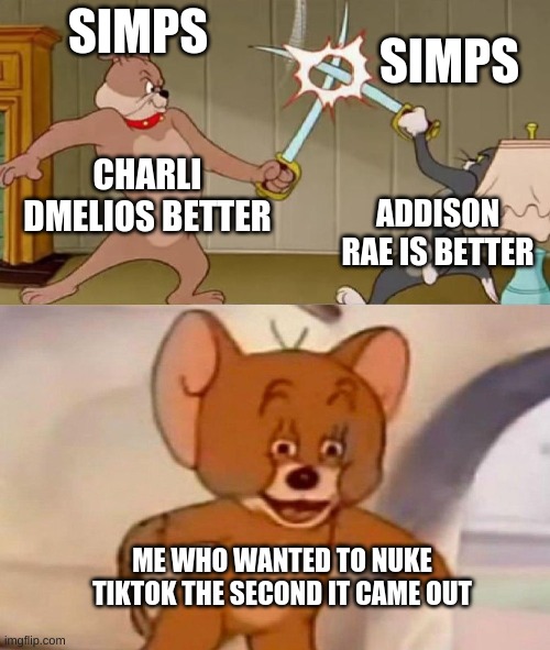 HEHE | SIMPS; SIMPS; CHARLI DMELIOS BETTER; ADDISON RAE IS BETTER; ME WHO WANTED TO NUKE TIKTOK THE SECOND IT CAME OUT | image tagged in tom and jerry swordfight | made w/ Imgflip meme maker