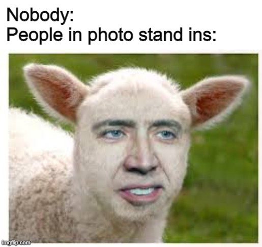 These things are so dumb | Nobody:
People in photo stand ins: | image tagged in nicolas cage | made w/ Imgflip meme maker