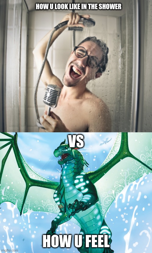 wof | HOW U LOOK LIKE IN THE SHOWER; VS; HOW U FEEL | image tagged in dragon from wings of fire | made w/ Imgflip meme maker