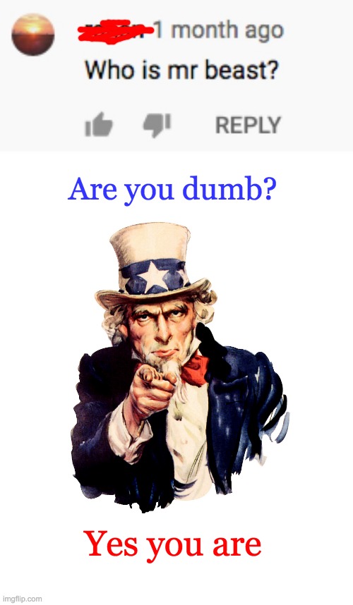 I think someone has stupid | Are you dumb? Yes you are | image tagged in yes,uncle sam,mr beast,lol,memes,i've lost all faith in humanity | made w/ Imgflip meme maker