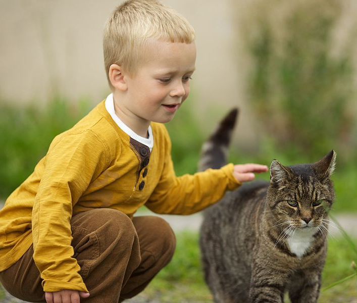 High Quality Boy and Cat Blank Meme Template