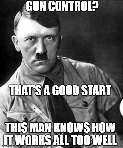 Gun Control | GUN CONTROL? THAT'S A GOOD START; THIS MAN KNOWS HOW IT WORKS ALL TOO WELL | image tagged in adolf hitler,gun control | made w/ Imgflip meme maker