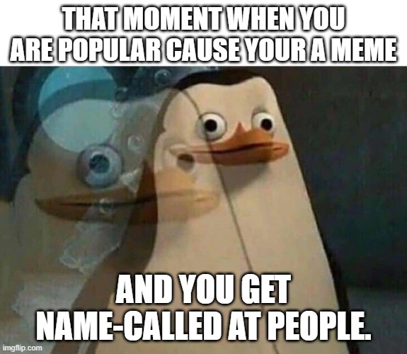 being memed on | THAT MOMENT WHEN YOU ARE POPULAR CAUSE YOUR A MEME; AND YOU GET NAME-CALLED AT PEOPLE. | image tagged in the penguins of madagascar | made w/ Imgflip meme maker
